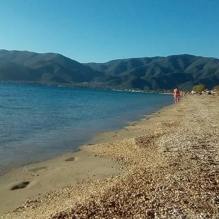 招待所 Petroshouse Beach